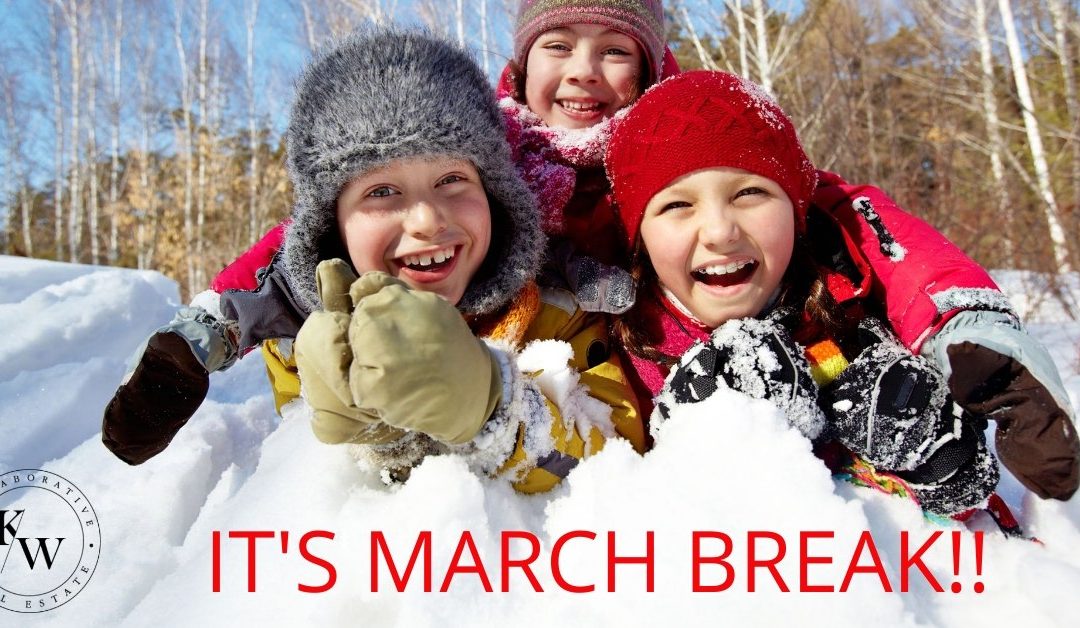 What to Do for March Break in Collingwood & Blue Mountain