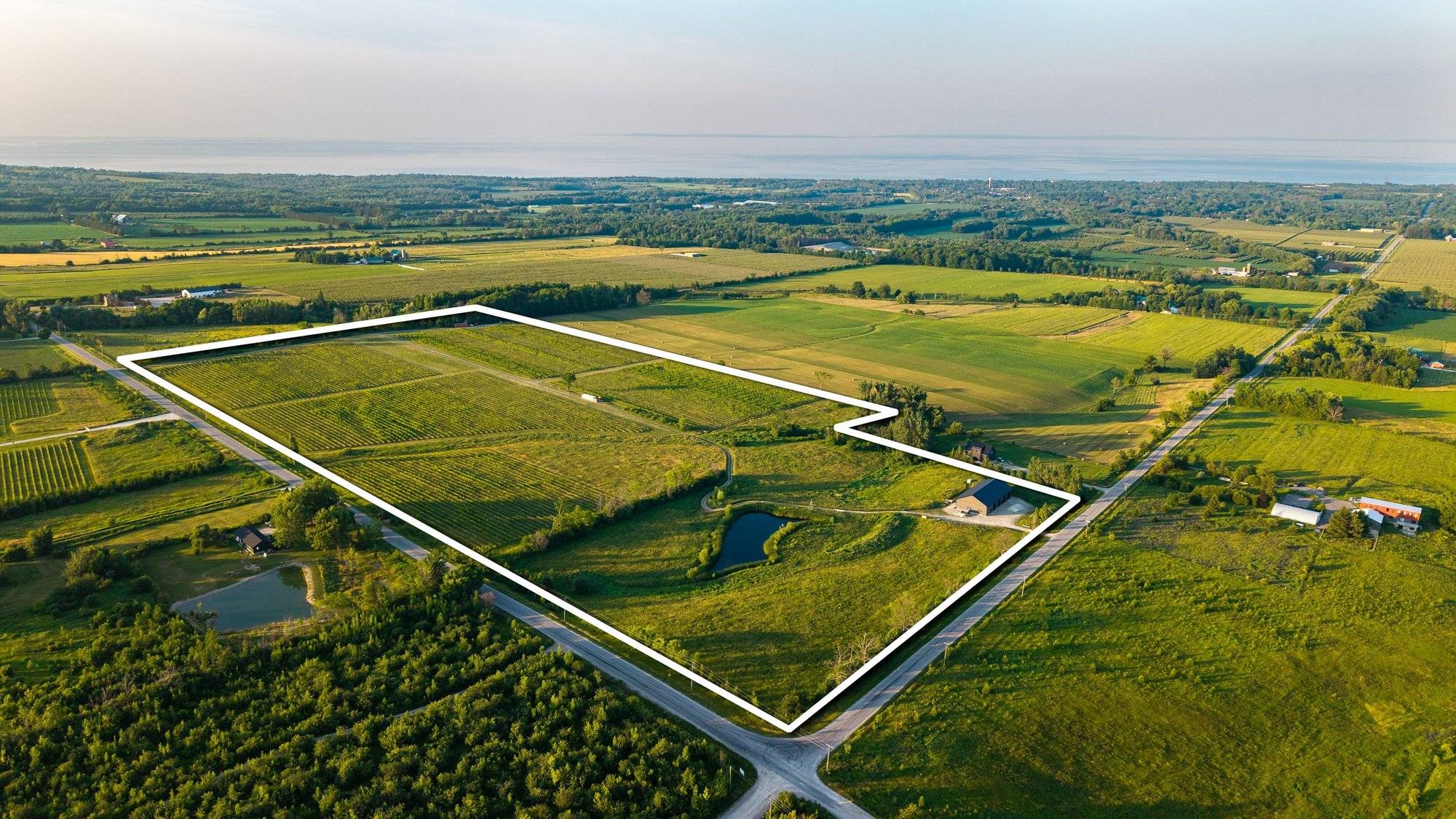 47-Acre Vineyard for Sale in The Blue Mountains | Winery & Agri-Tourism Opportunity | Ontario Real Estate