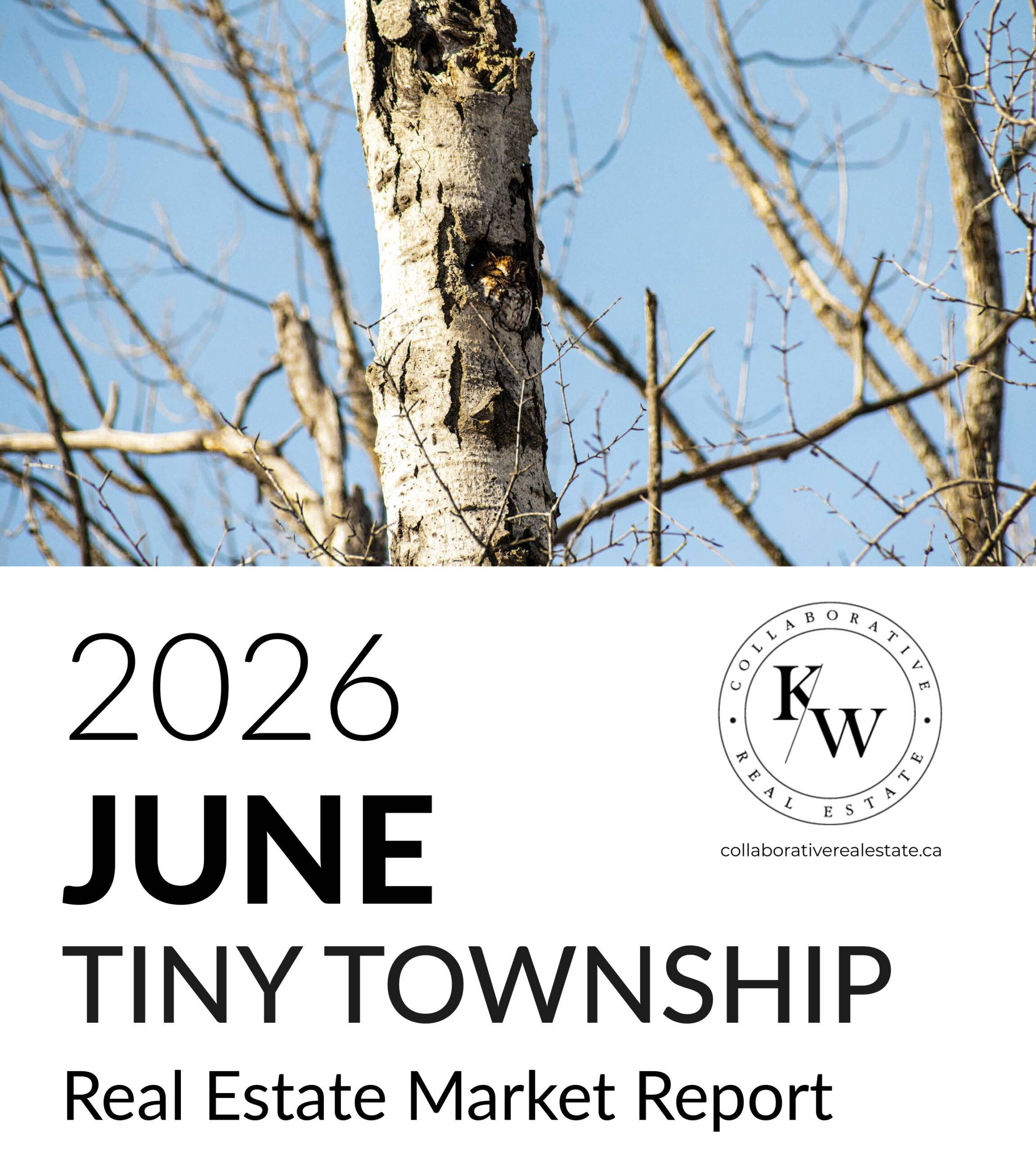 Real Estate Market Reports Tiny Township Market Report June 2026 | Local Market Updates | Collaborative Real Estate