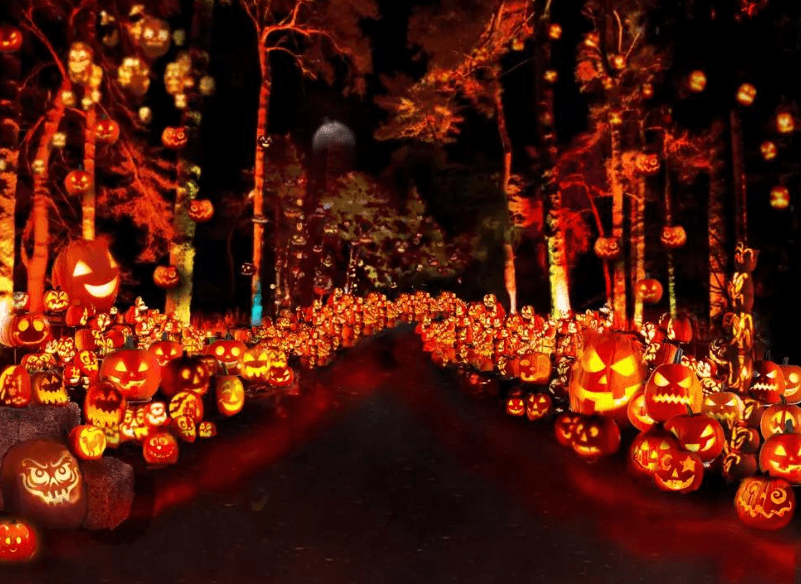 Wasaga Beach Pumpkin Trail Halloween event featuring illuminated jack-o'-lanterns along Oakview Woods Trail.